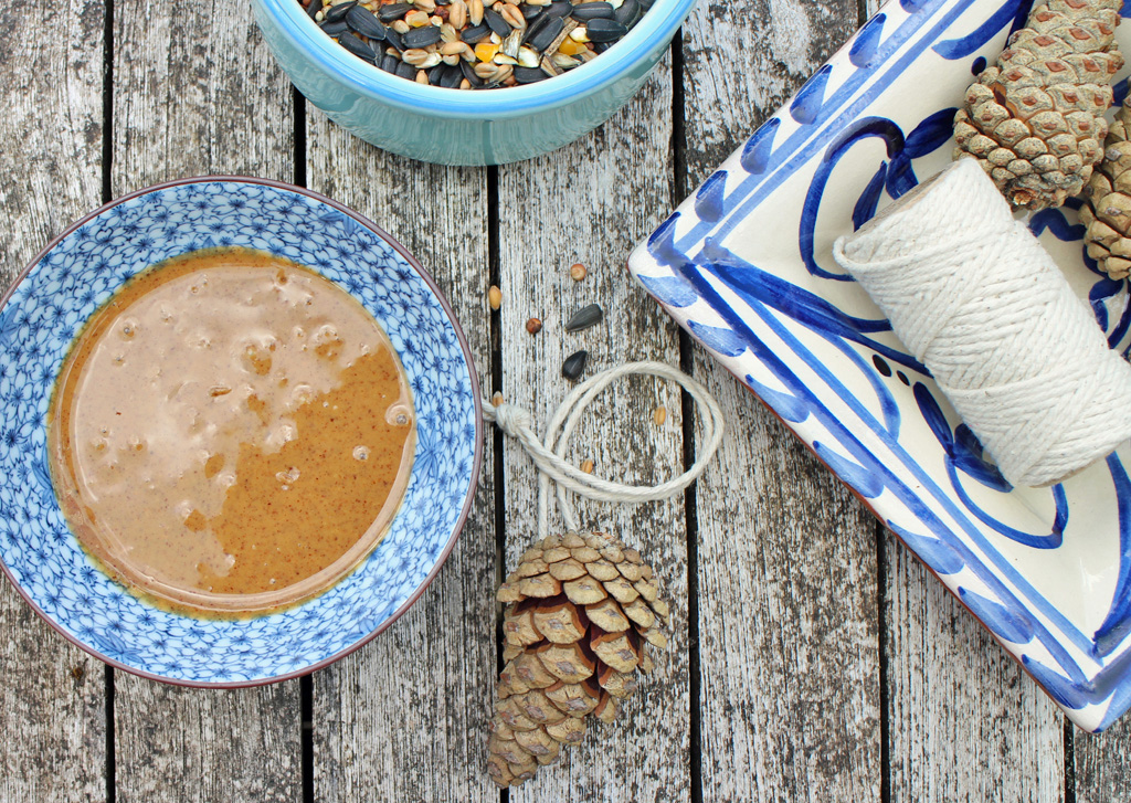 Stuff you'll need to make a pine cone bird feeder - caring for garden birds