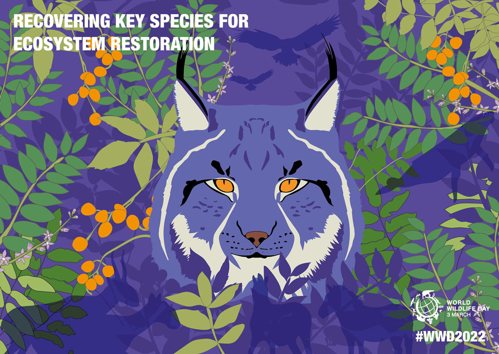 World Wildlife Day 2023 - official poster featuring a wild cat illustration