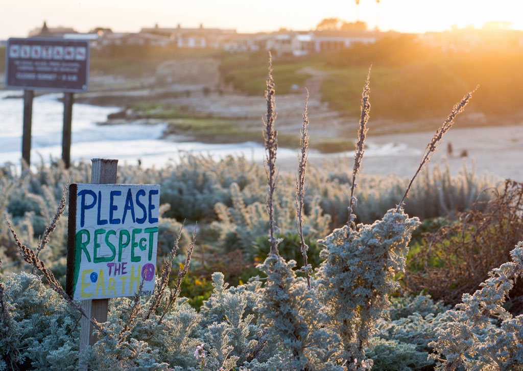 Sign on beach reads " please respect the earth", Mother Earth Day 2023